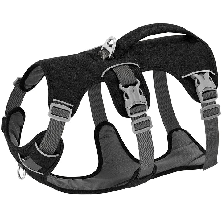 NobleWalk Dog Safety Harness | Adjustable and Ventilated Dog Harness with Reflective Details