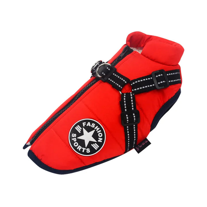 Frost Protection for Your Pet