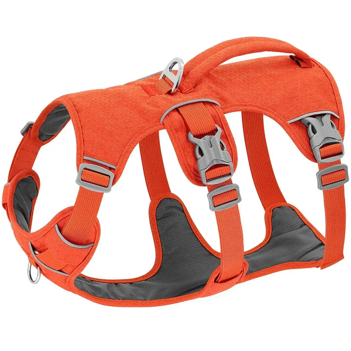 NobleWalk Dog Safety Harness | Adjustable and Ventilated Dog Harness with Reflective Details