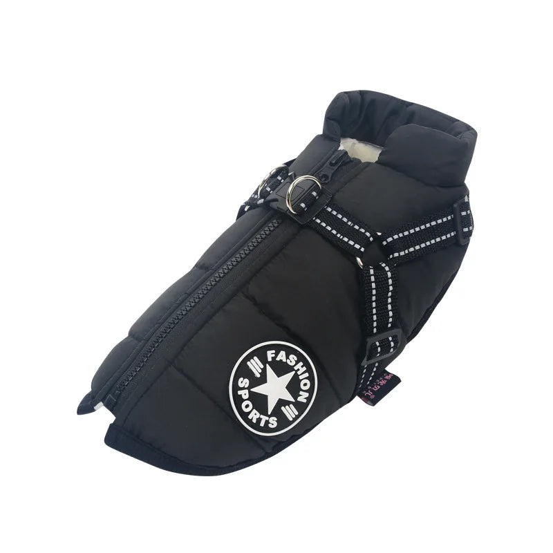 Frost Protection for Your Pet