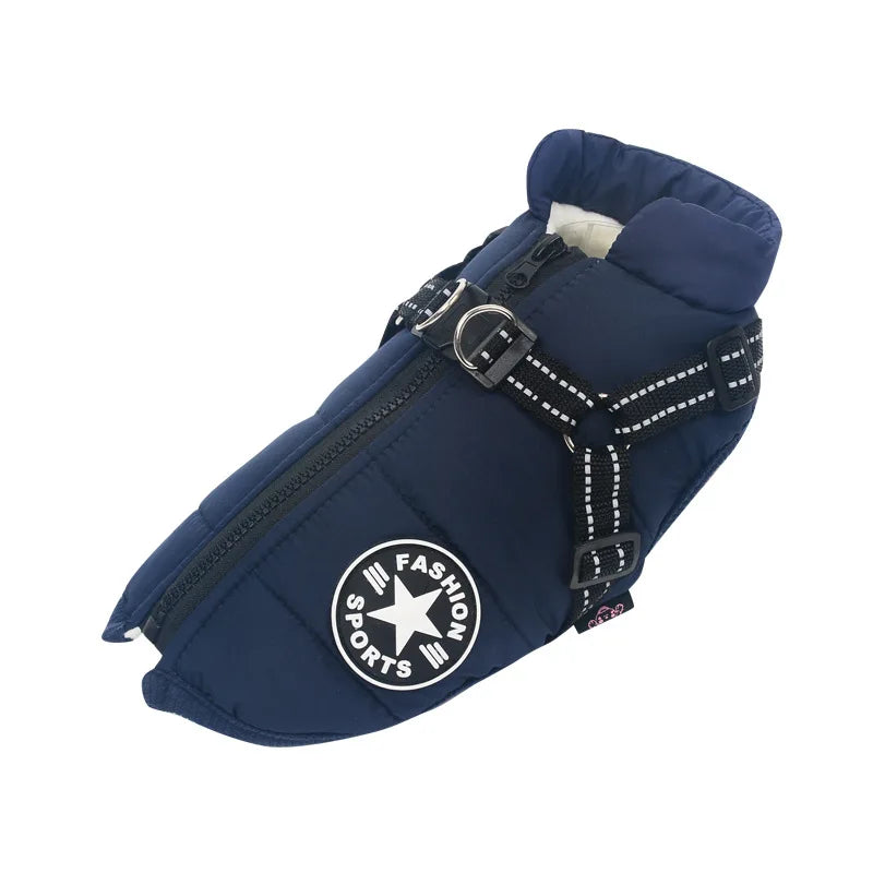 Frost Protection for Your Pet