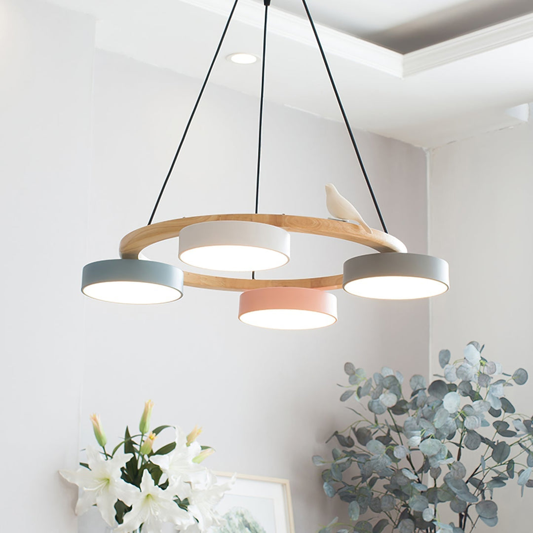 Cliff Chandelier Bird Round