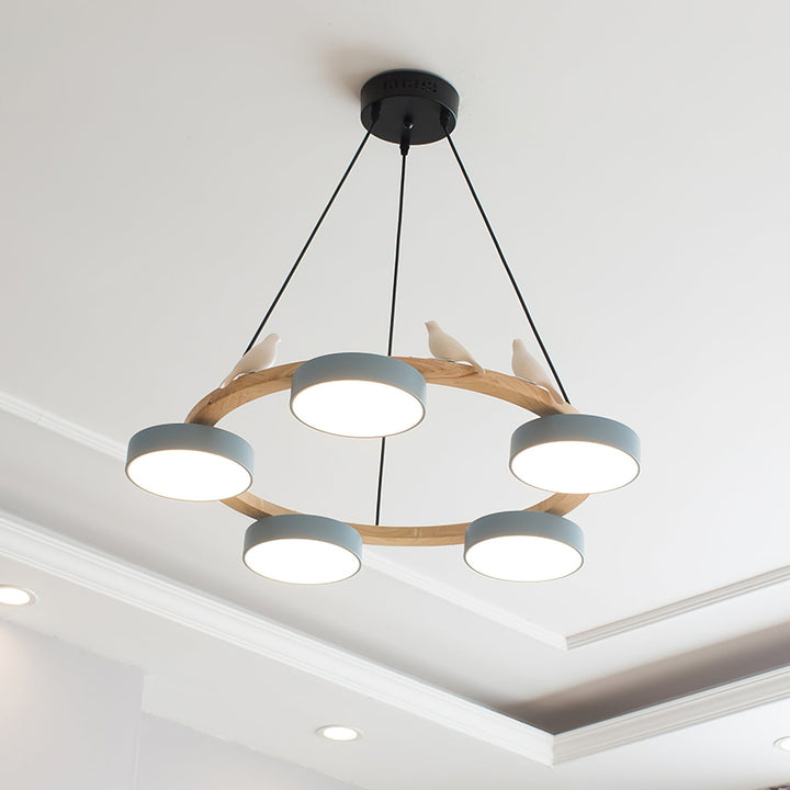 Cliff Chandelier Bird Round