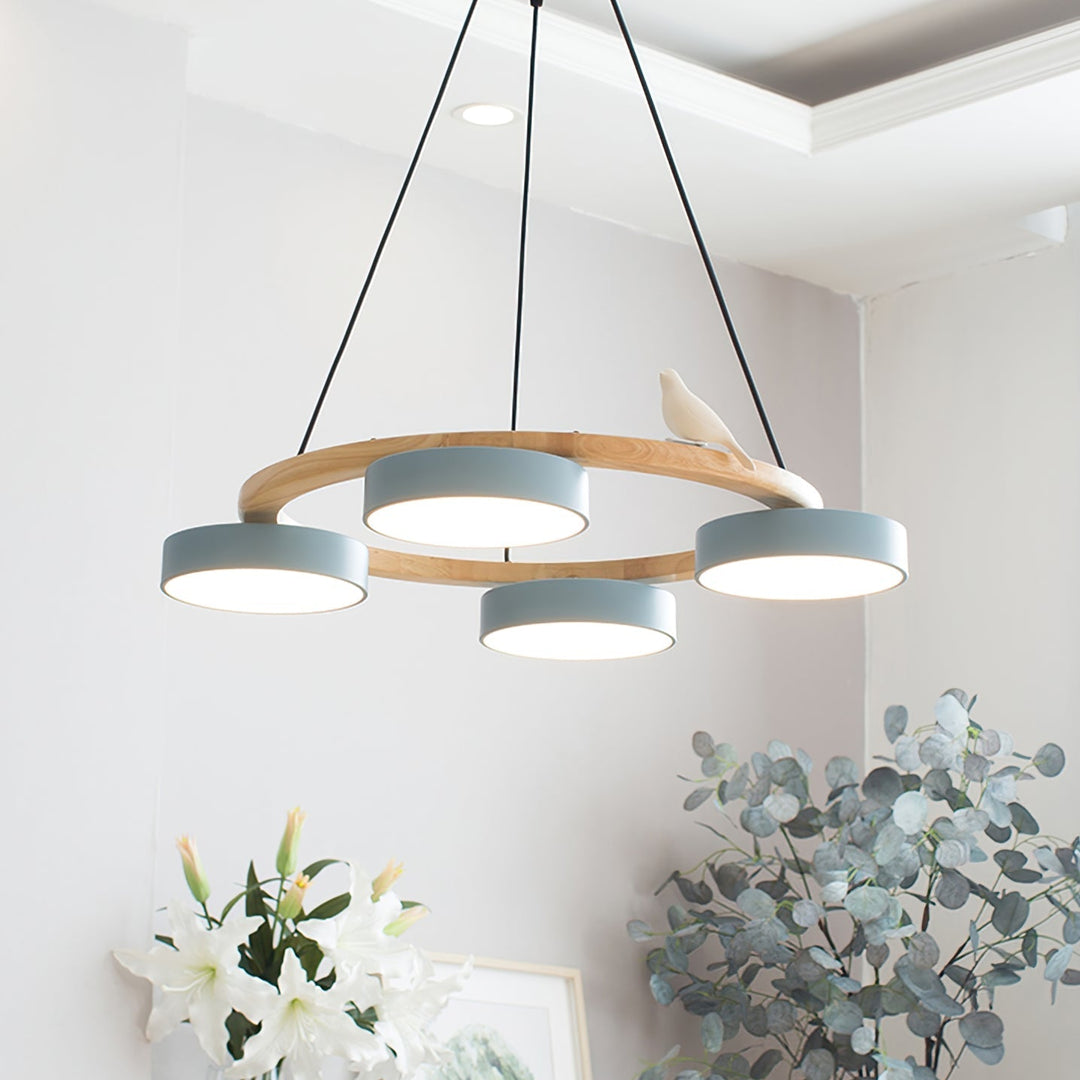 Cliff Chandelier Bird Round