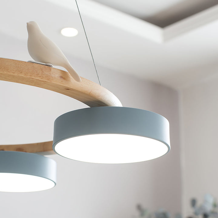 Cliff Chandelier Bird Round