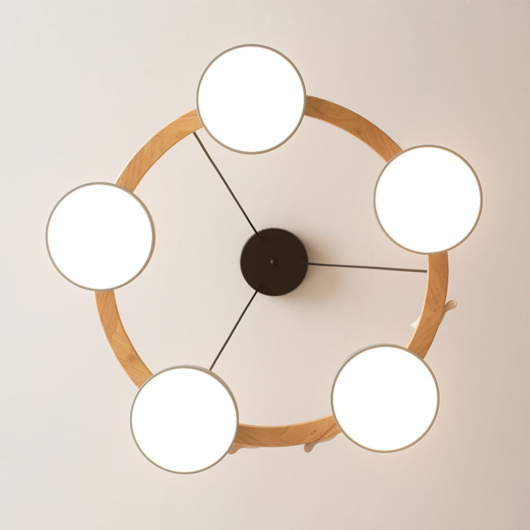 Cliff Chandelier Bird Round