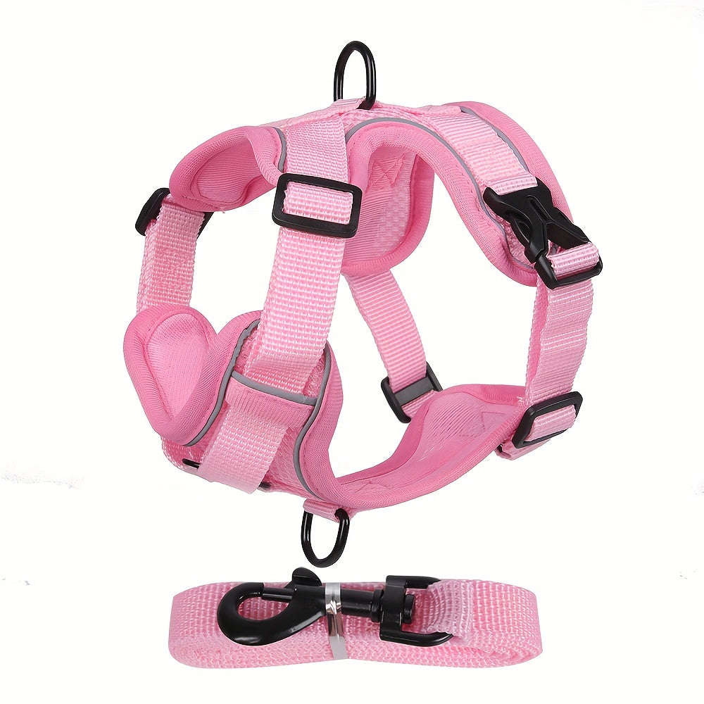 Reflective Cat Harness and Leash Set – Ideal for Walks and Training