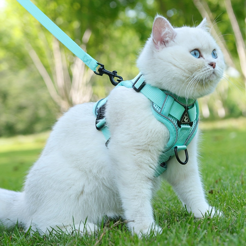 Reflective Cat Harness and Leash Set – Ideal for Walks and Training