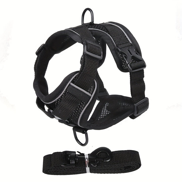 Reflective Cat Harness and Leash Set – Ideal for Walks and Training