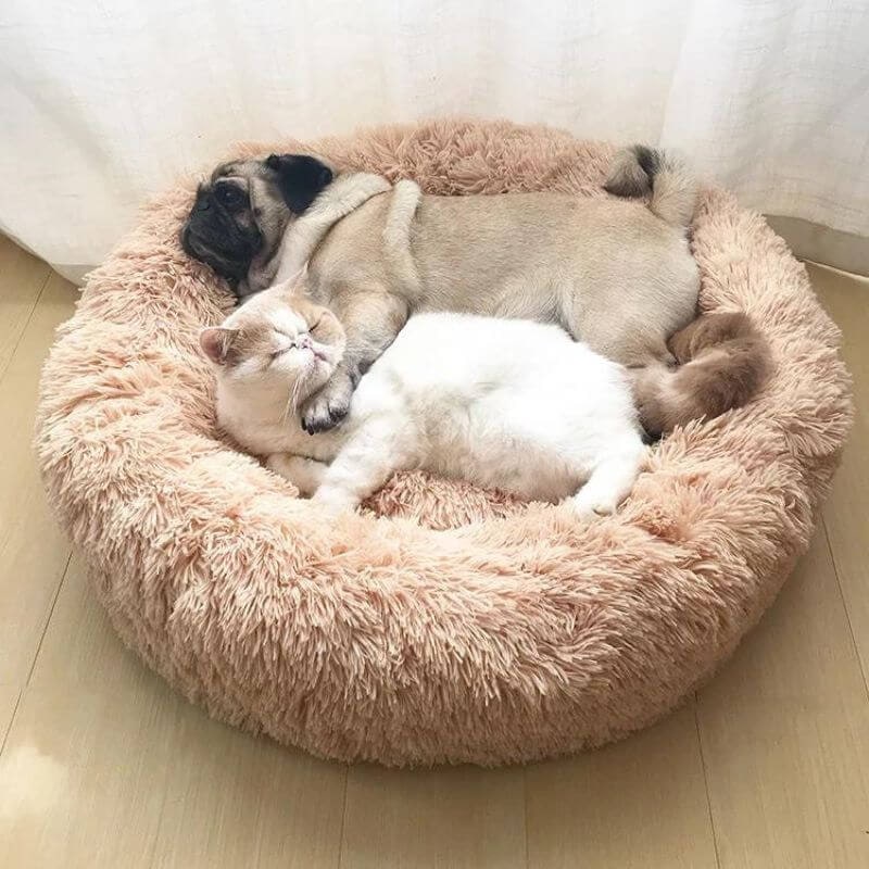 Cozy Round Plush Pet Bed for Cats and Small Pets