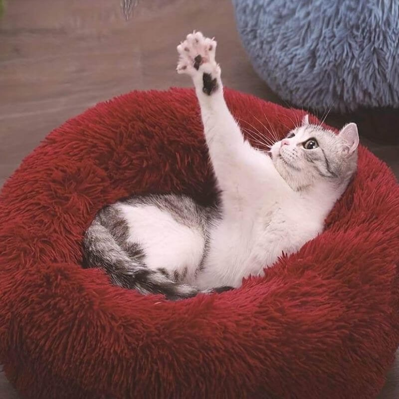 Cozy Round Plush Pet Bed for Cats and Small Pets