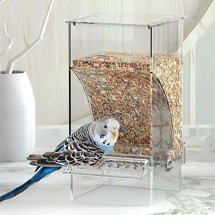 Clear Automatic Pet Bird Feeder with No-Spill Design