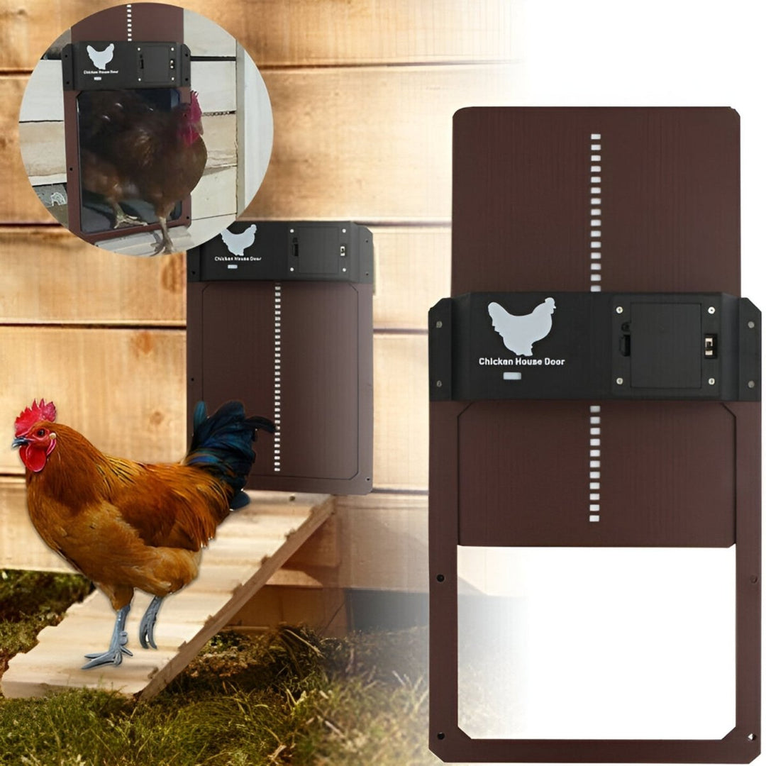 Automatic Chicken Coop Door | Safe and Time-Saving Solution for Poultry