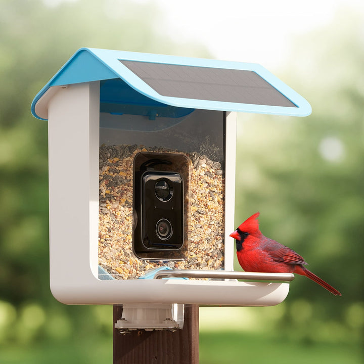 Solar-Powered AI Bird Feeder with HD Camera and App Control