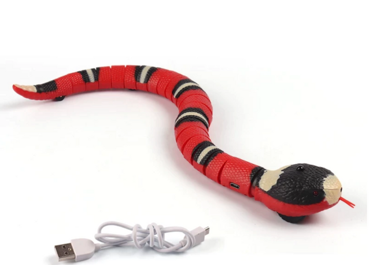 Interactive Wriggling Snake Cat Toy with USB Charging