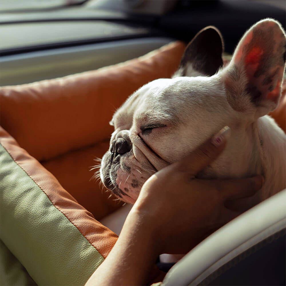Premium Faux Leather Dog Car Seat Booster - Comfortable & Safe Travel