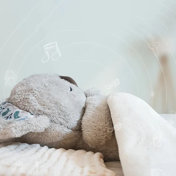 Cozy Koala Sleep Toy Soothing Light Relaxation