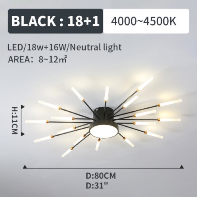 Wesley Modern Home Decoration Firework LED Ceiling Lamp