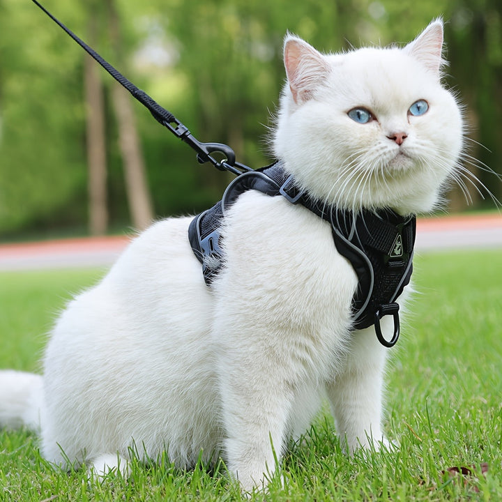 Reflective Cat Harness and Leash Set – Ideal for Walks and Training