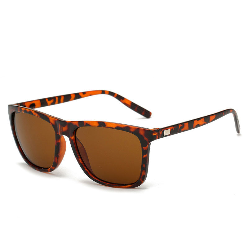 Polarized Men's Sunglasses with Frame