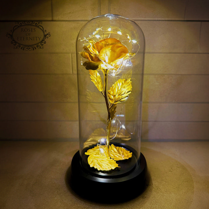 Eternal Rose | Gold Rose in Glass Display with LED Lighting