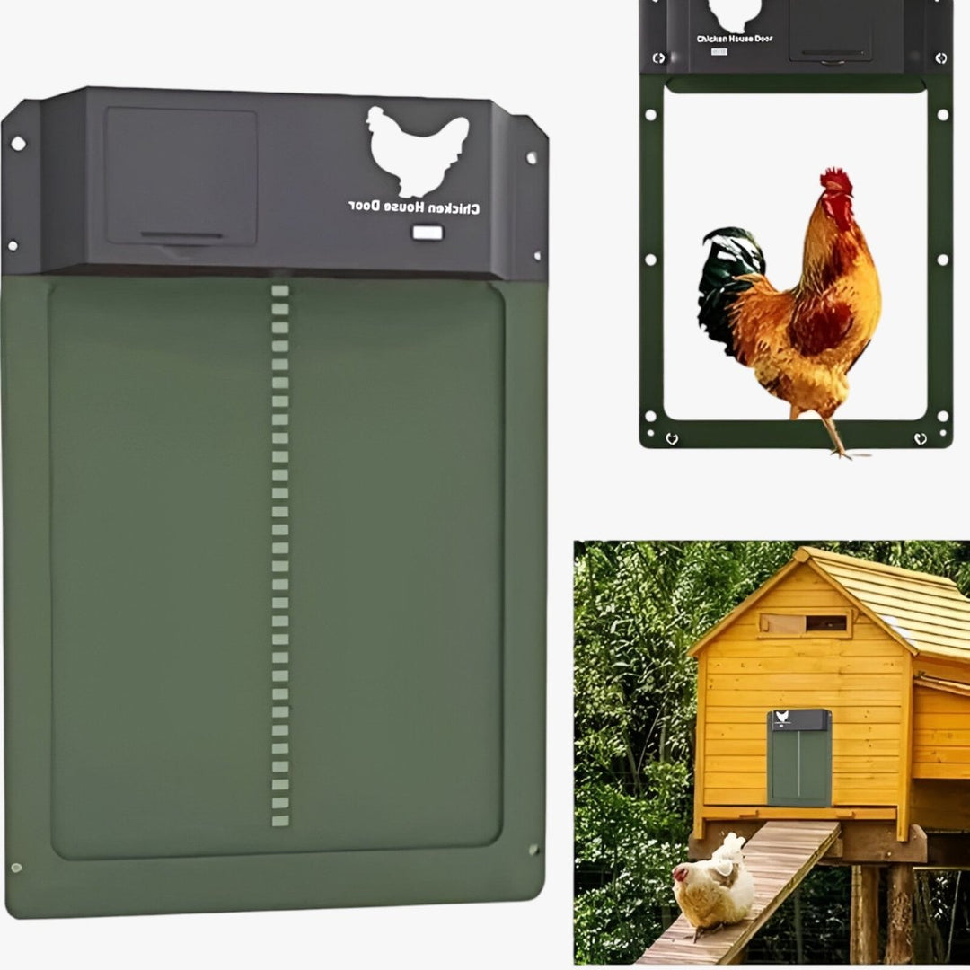 Automatic Chicken Coop Door | Safe and Time-Saving Solution for Poultry