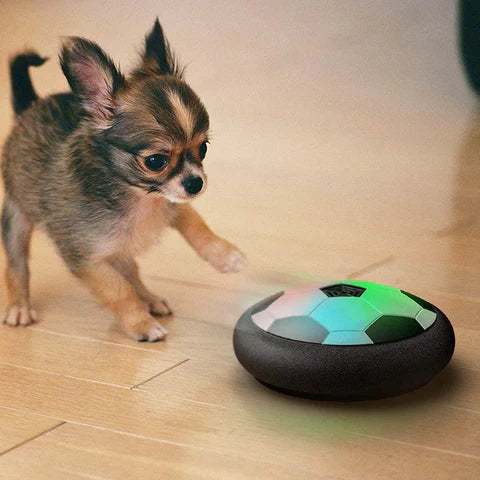 Interactive Football Bounce Toy for Dogs - Durable Play Ball