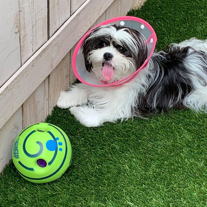Interactive Sound Play Ball for Dogs - Engaging Toy with Movement and Sounds
