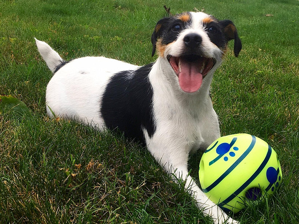 Interactive Sound Play Ball for Dogs - Engaging Toy with Movement and Sounds