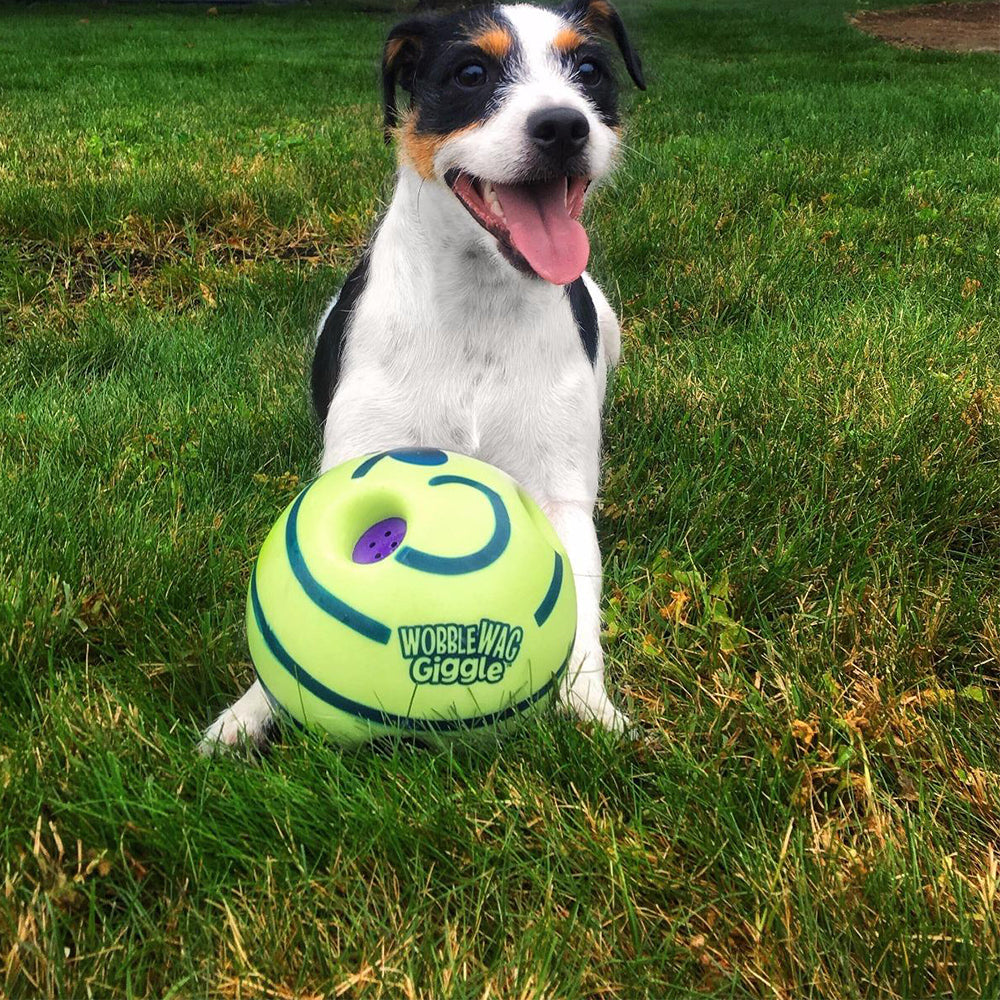 Interactive Sound Play Ball for Dogs - Engaging Toy with Movement and Sounds