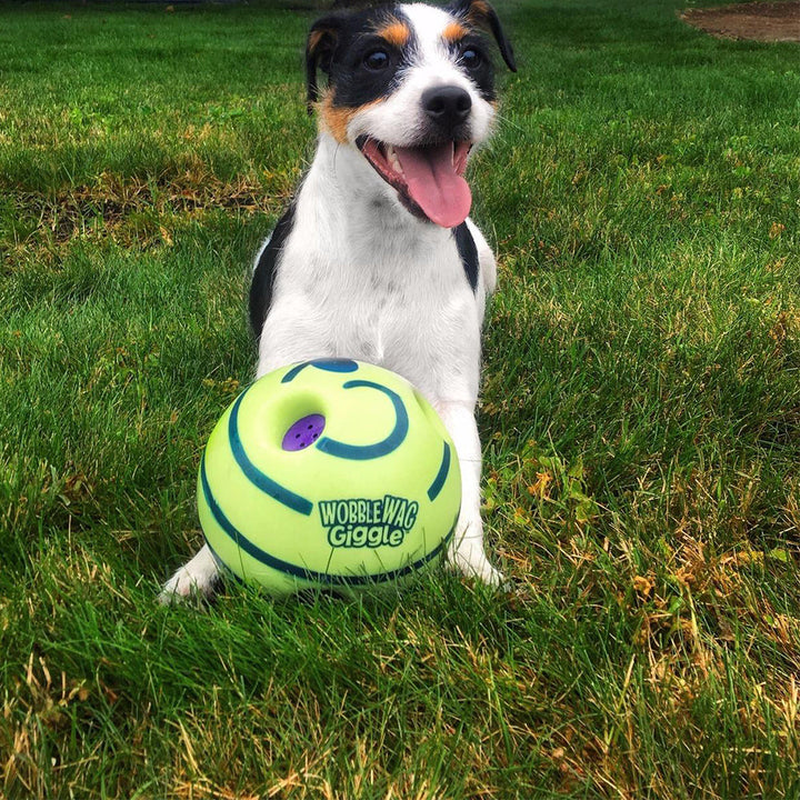 Interactive Sound Play Ball for Dogs - Engaging Toy with Movement and Sounds
