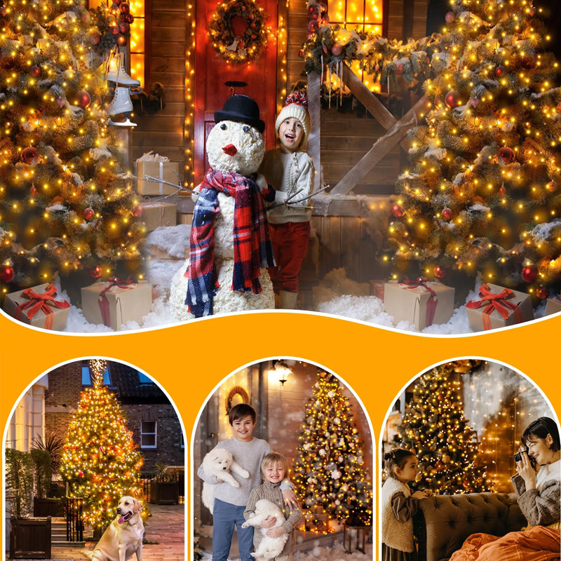Christmas Tree Lighting with Vattenfall and Remote Control