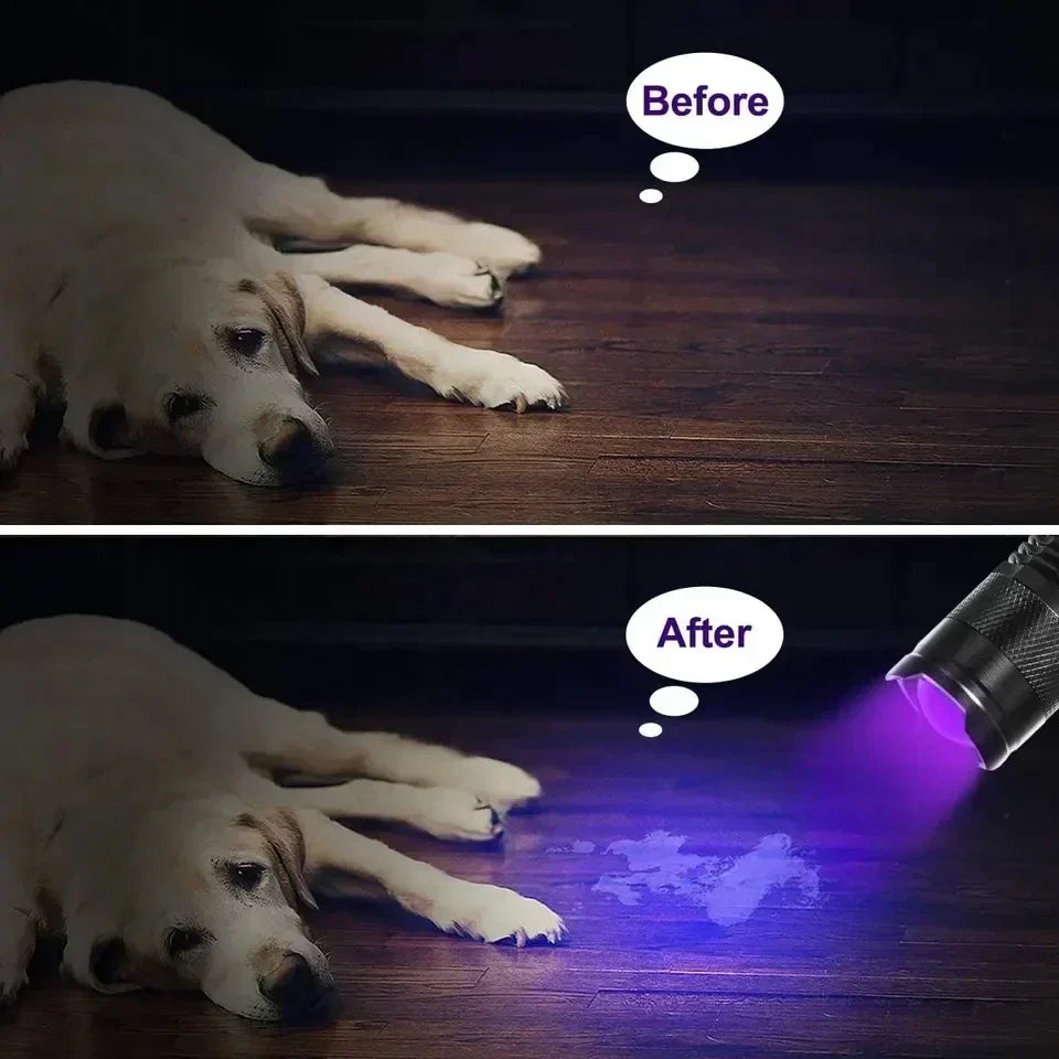 Professional UV Detection Flashlight - 395nm Ultraviolet Inspection Lamp