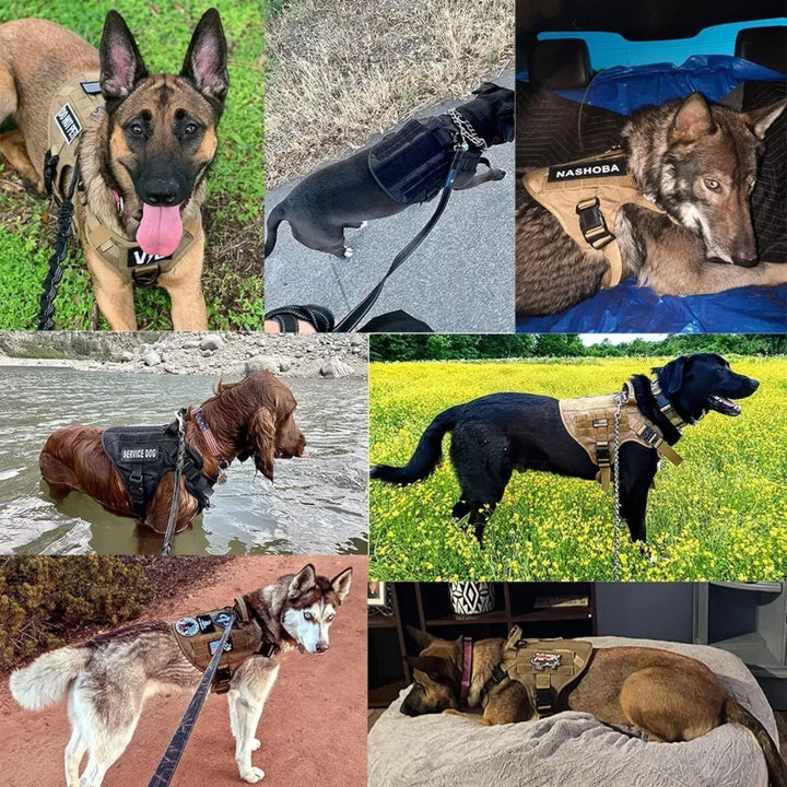 Military Dog Tactical Training Vest Quick-Release System