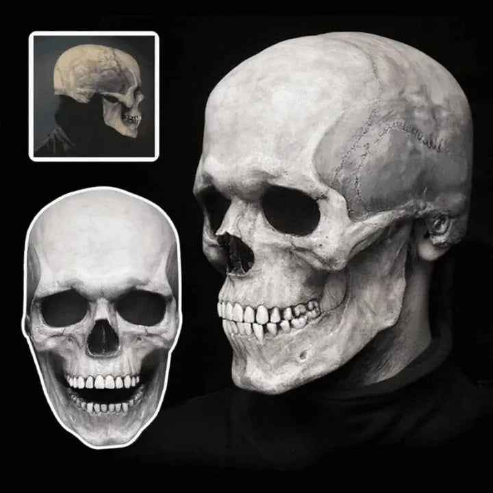Articulated Skull Face Mask with Movable Jaw - Halloween & Cosplay Costume Accessory