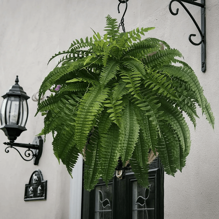 EverVerde UV-Resistant Artificial Boston Fern Set of 18