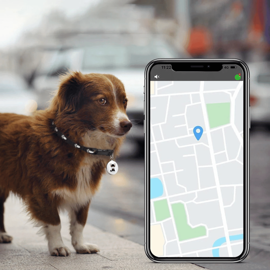 Pet GPS Tracker - Dogs and Cats - Android and iOS