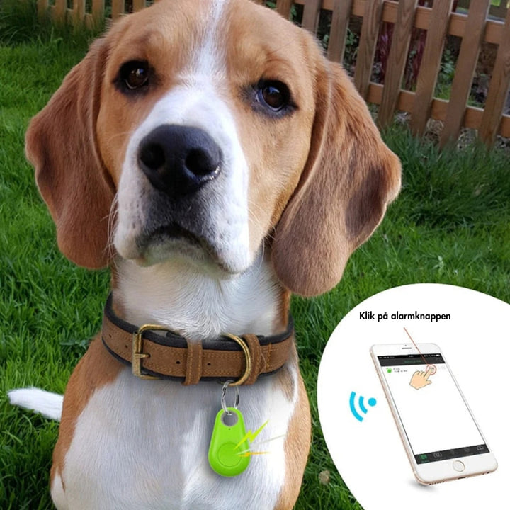 SafeTrack | GPS Tracker with Live Tracking for Children, Pets, and Valuables