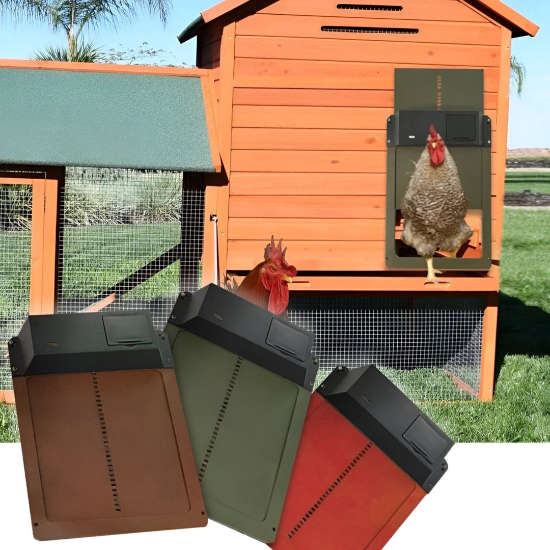 Automatic Chicken Coop Door | Safe and Time-Saving Solution for Poultry