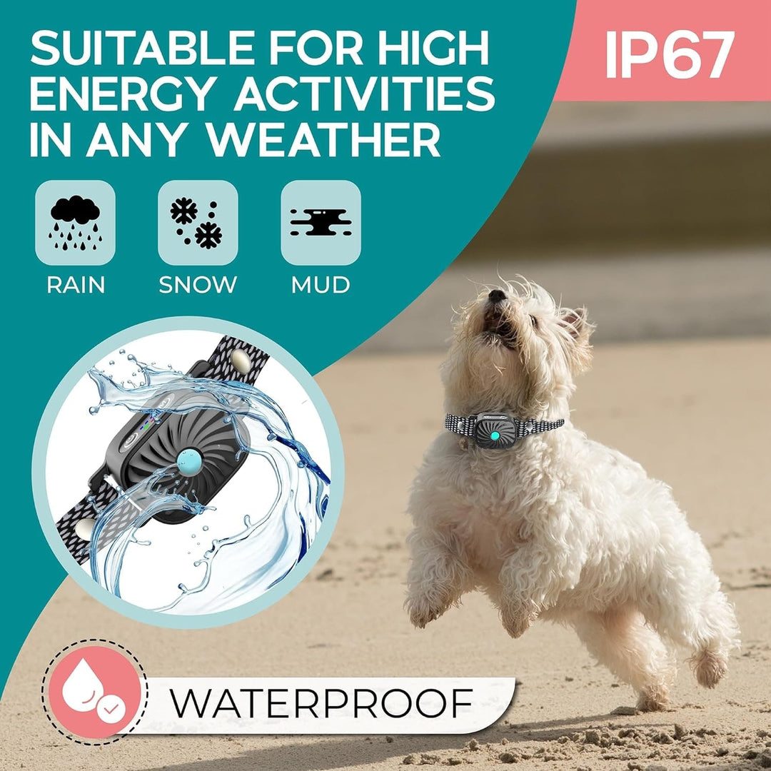 Small Dog Anti-Bark Collar Vibration Sound Training Features