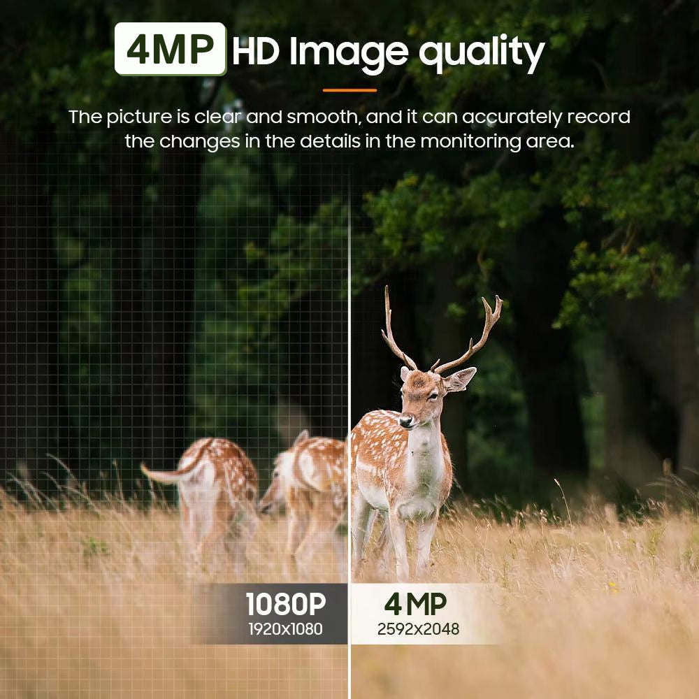 Solar-Powered 4MP Pan-Tilt Wildlife and Property Monitoring Camera with 4G Connectivity