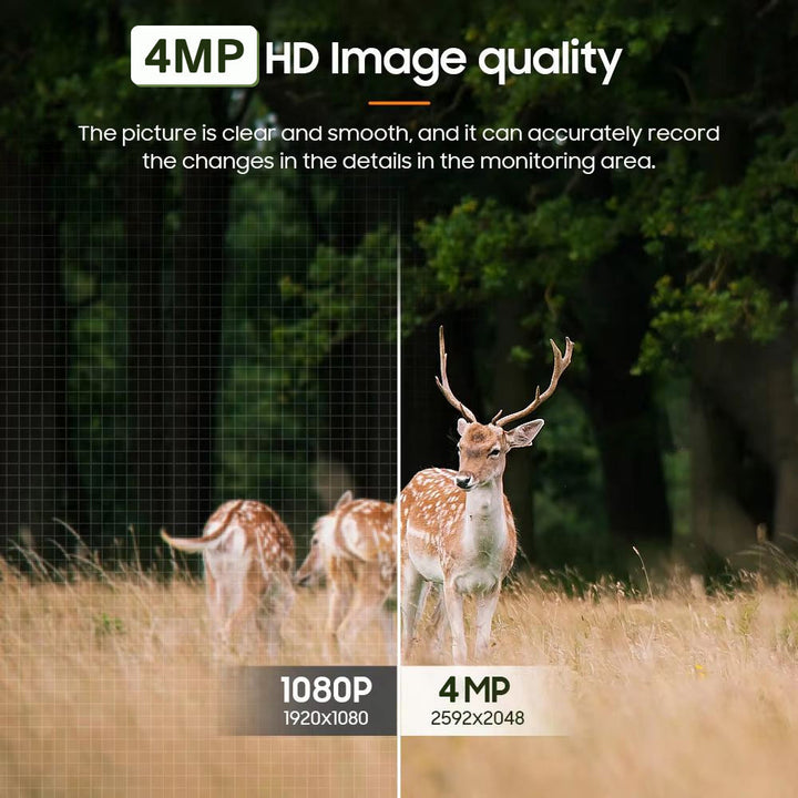 Solar-Powered 4MP Pan-Tilt Wildlife and Property Monitoring Camera with 4G Connectivity