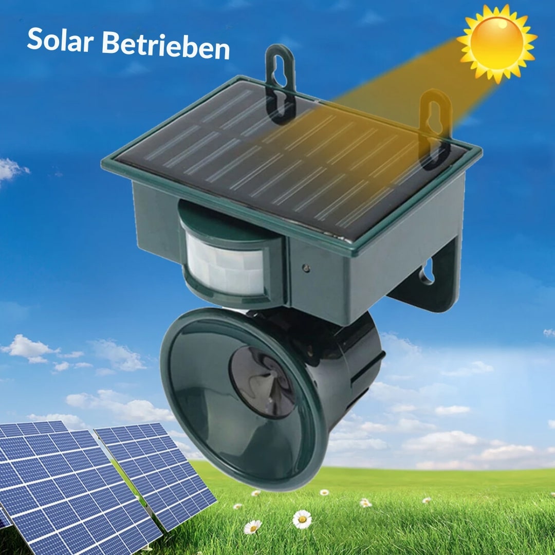Scare Away Pigeons from Balcony & Garden | Bird Repellent Device | BirdBlock