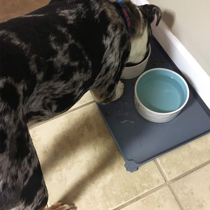 Spillproof Pet Feeding Mat with Raised Edges - Waterproof Floor Protection