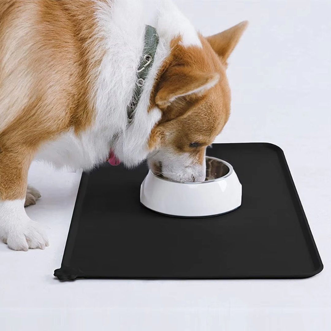 Spillproof Pet Feeding Mat with Raised Edges - Waterproof Floor Protection